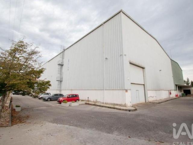 Casa alugar em Marinha Grande, Leiria