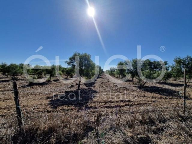 Casa venda em Ourique, Beja