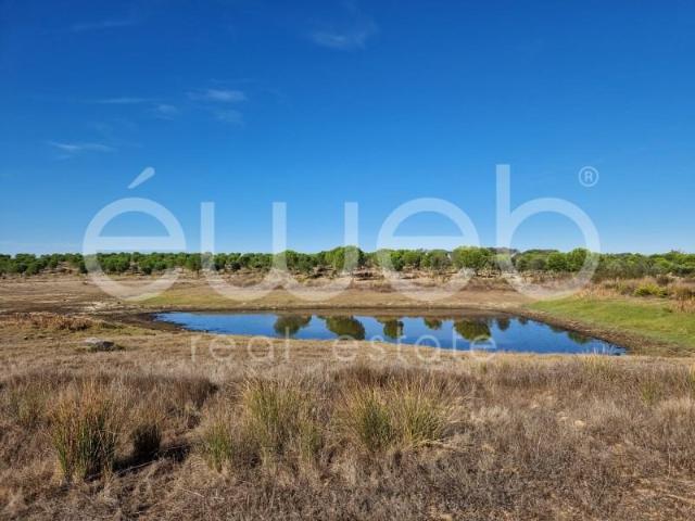 Casa venda em Ourique, Beja