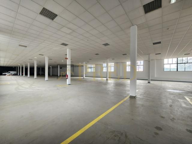 Casa alugar em Porto