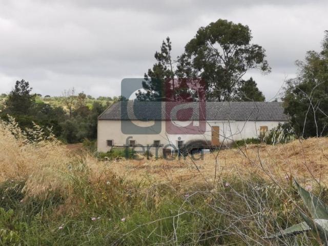 Casa venda em Santarém