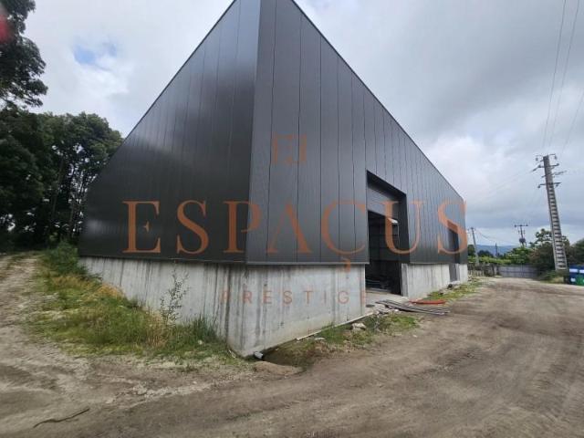 Casa alugar em Viana Do Castelo
