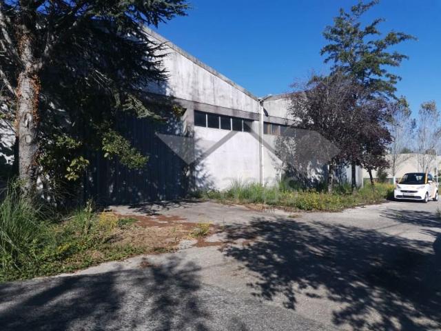 Casa alugar em Zona Industrial 2 de Neiva, Viana Do Castelo