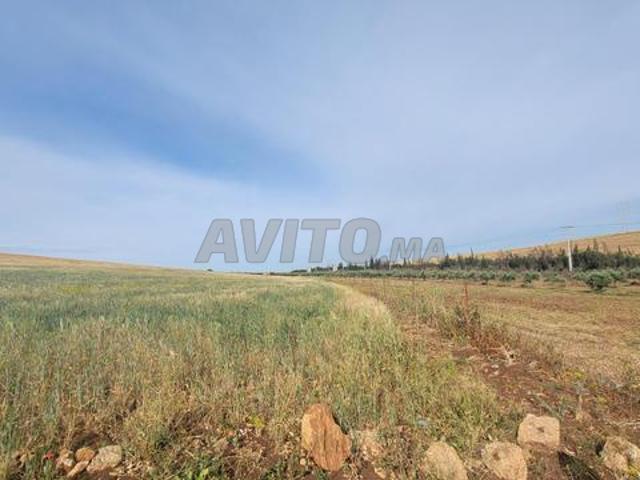 Propriété vente à Settat, Gharb-Chrarda-Beni Hssen