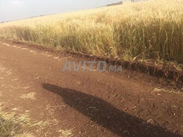 Propriété vente à Settat, Gharb-Chrarda-Beni Hssen