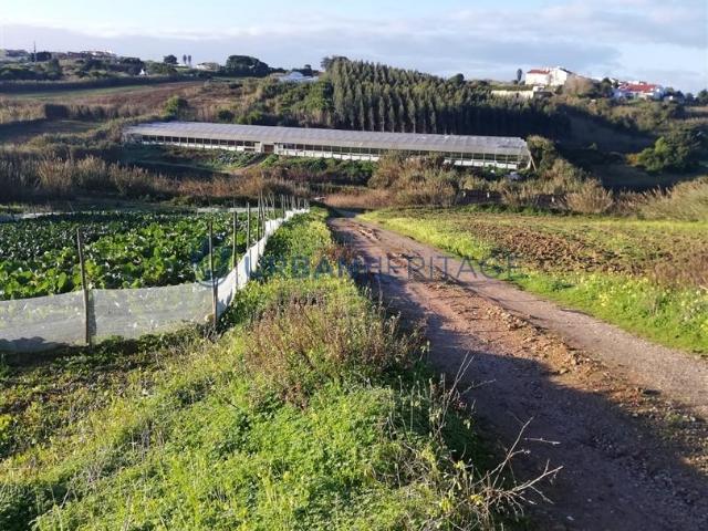Terreno venda em Casal da Barreirinha, Torres Vedras