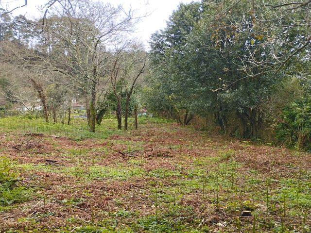 Casa en venta en O Eume, Galicia