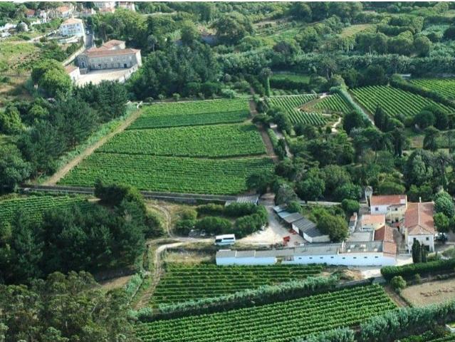 Quinta venda em Colares, Penedo