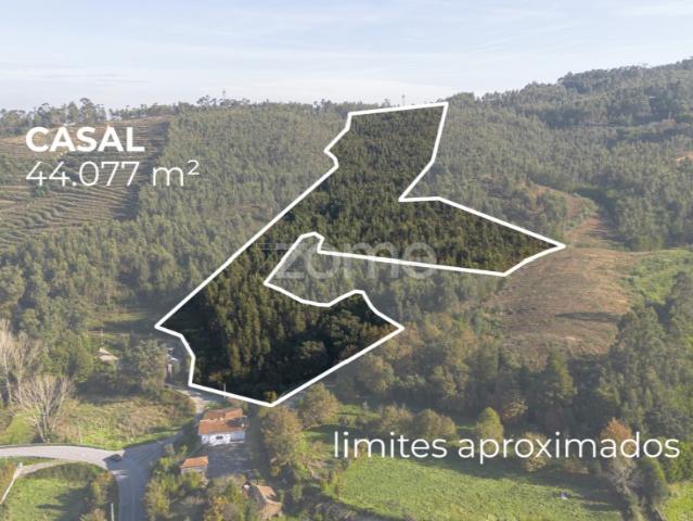 Terreno venda em Devesa, Bitarães