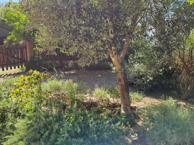 Rustico in vendita a Colli al Metauro, Marche