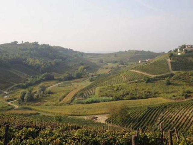 Terreno in vendita a Piemonte, Asti