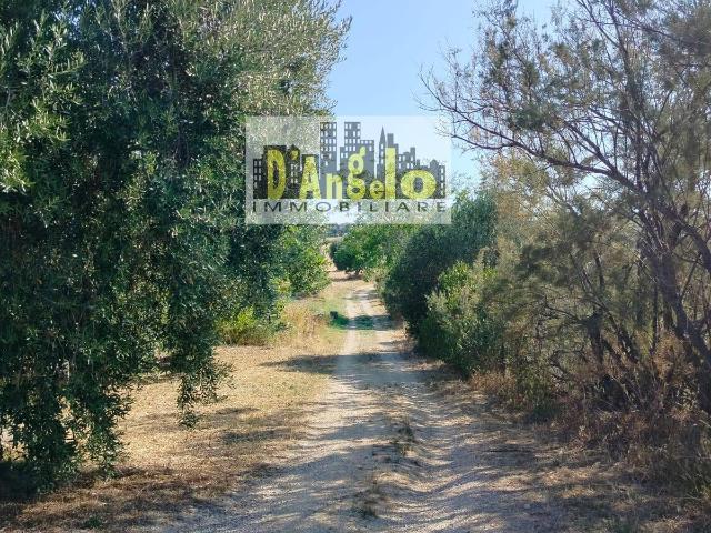 Rustico in vendita a San Barnaba, Marche