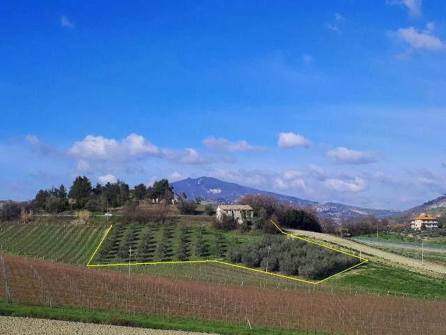 Rustico in vendita a Marche, Ascoli Piceno