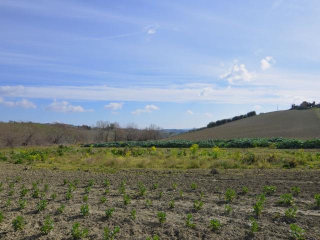 Rustico in vendita a Marche, Ascoli Piceno