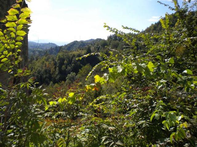 Rustico in vendita a Marche, Ascoli Piceno
