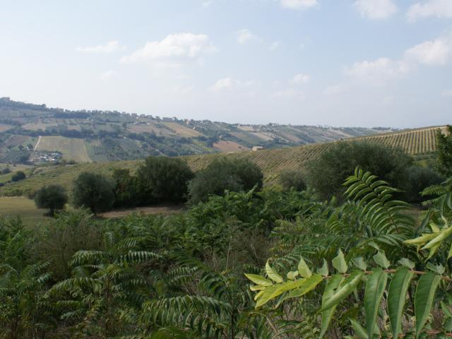 Rustico in vendita a Bora Ragnola, Monteprandone