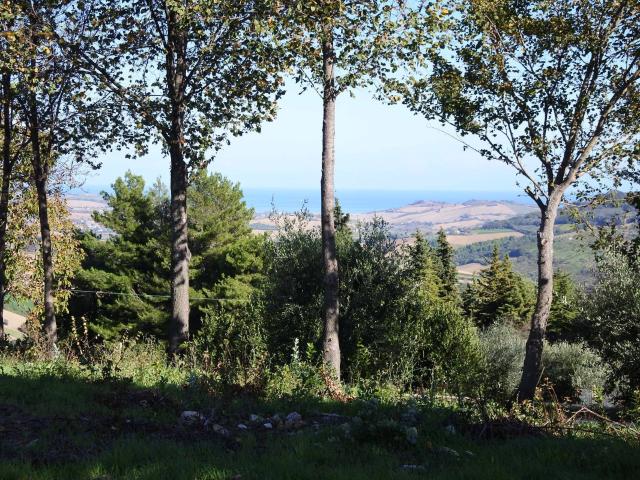 Rustico in vendita a Marche, Fermo