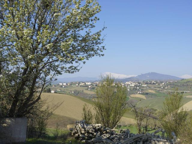 Rustico in vendita a Borgo Miriam, Offida