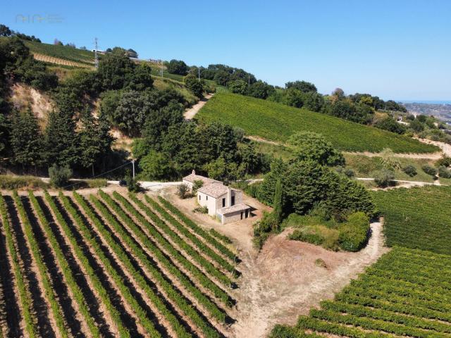 Rustico in vendita a Ripatransone, Ascoli Piceno