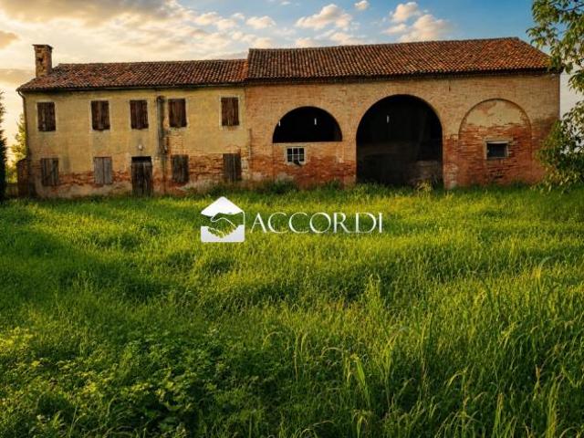 Terreno in vendita a Conselve, Veneto