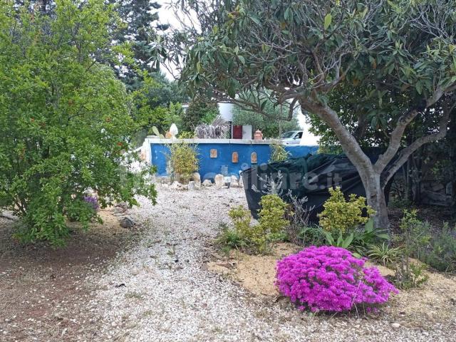Villa Indipendente in affitto a Marche, Ascoli Piceno