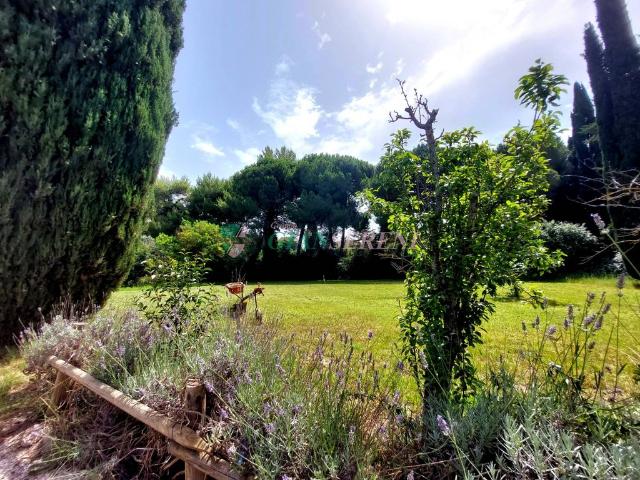Rustico in vendita a Campiglia Marittima, Toscana