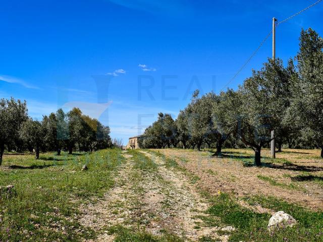 Rustico in vendita a Caltagirone, Sicilia