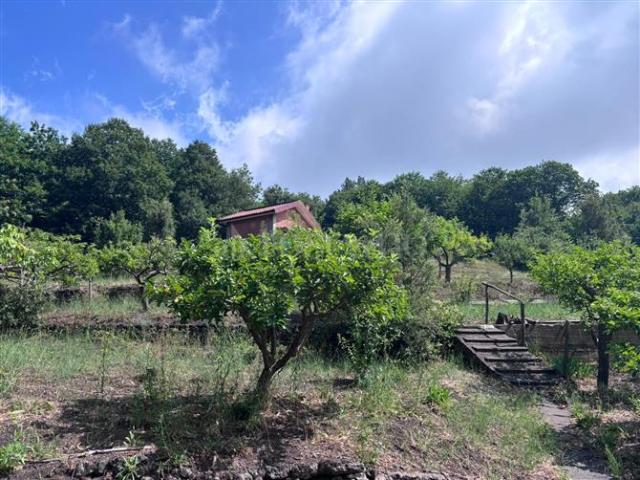 Rustico in vendita a Tarderia, Pedara