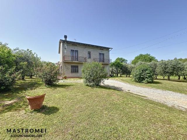 Terreno in vendita a Castelfranco Di Sotto, Toscana