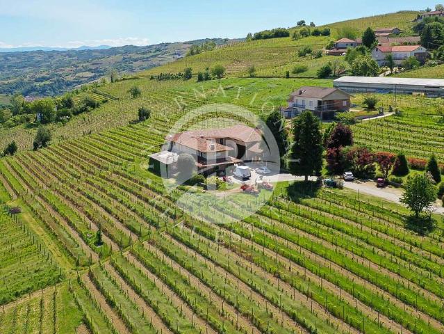 Villa Indipendente in vendita a Canelli, Asti