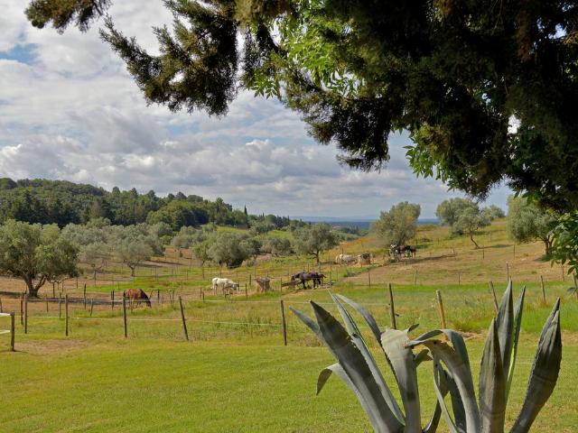 Villa Indipendente in vendita a Fornelli, Riparbella