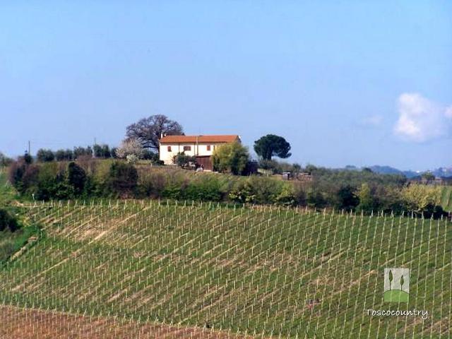 Casa in vendita a Terricciola, Toscana