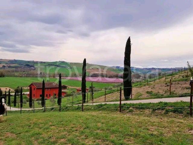 Villa Indipendente in affitto a Marche, Fermo