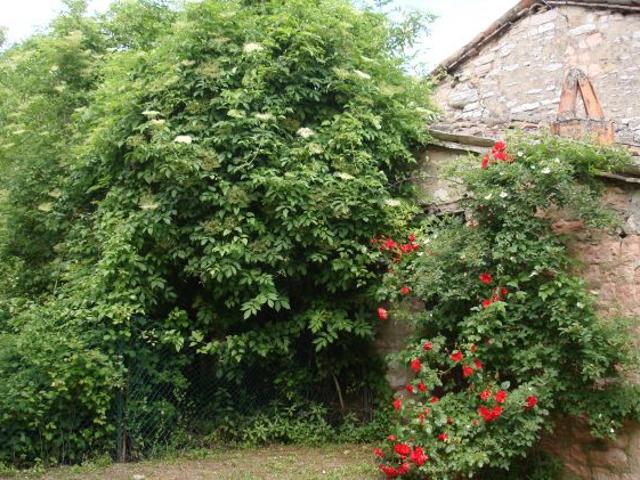 Terreno in vendita a Marche, Pesaro E Urbino