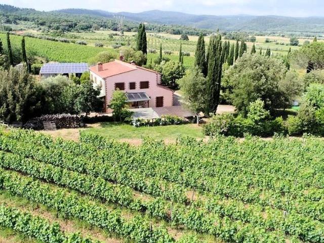 Casa in vendita a Roccastrada, Toscana