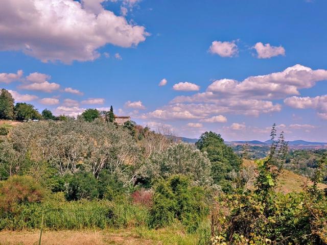 Rustico in vendita a Asciano