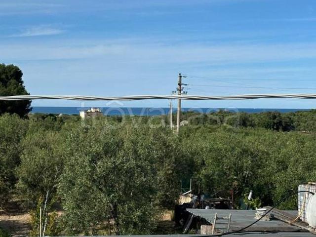 Rustico in vendita a Puglia, Barletta-andria-trani