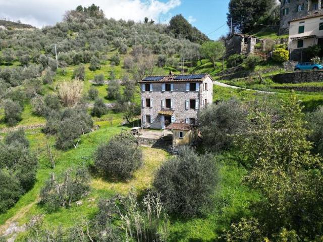 Terreno in vendita a Unione dei comuni Media Valle del Serchio, Borgo A Mozzano