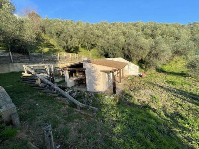 Rustico in vendita a Pieve, Camaiore