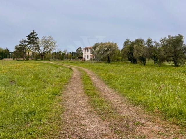 Rustico in vendita a Carraia, Camaiore