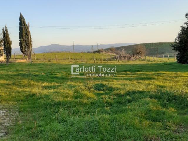 Rustico in vendita a Campagnatico, Grosseto