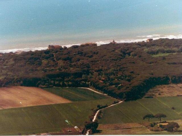 Rustico in vendita a Bolgheri, Toscana