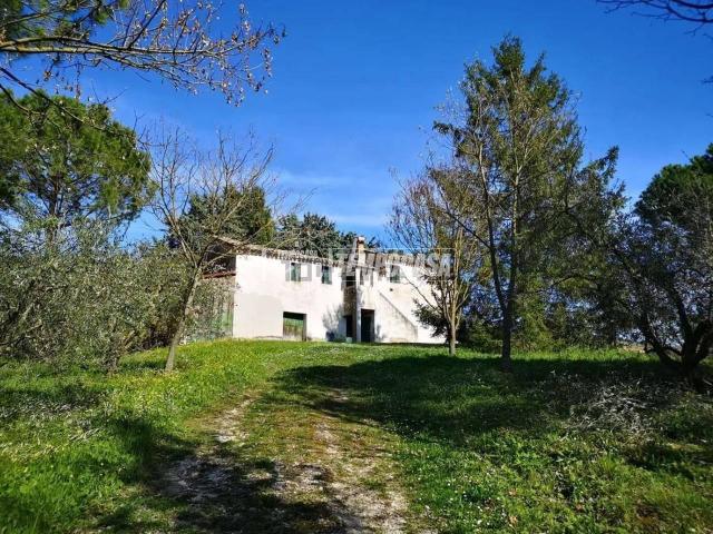 Rustico in vendita a Pozzetto, Castelplanio