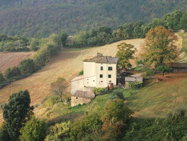 Rustico in vendita a Chiusdino, Toscana