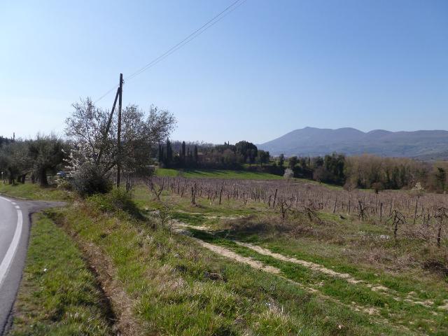 Rustico in vendita a Chiusi Città, Toscana