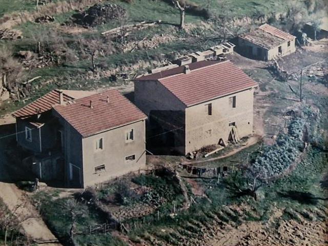 Terreno in vendita a Cinigiano, Toscana