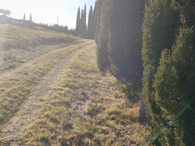 Rustico in vendita a Cinigiano, Toscana