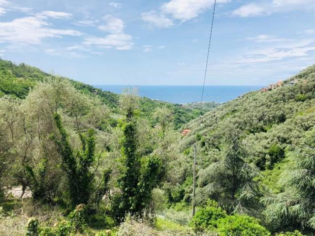Terreno in vendita a Cogorno, Liguria