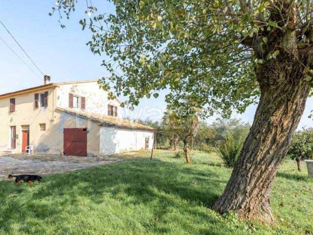 Rustico in vendita a Sant'Apollonia, Corinaldo