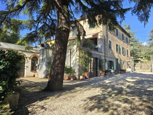 Terreno in vendita a Cortona, Toscana